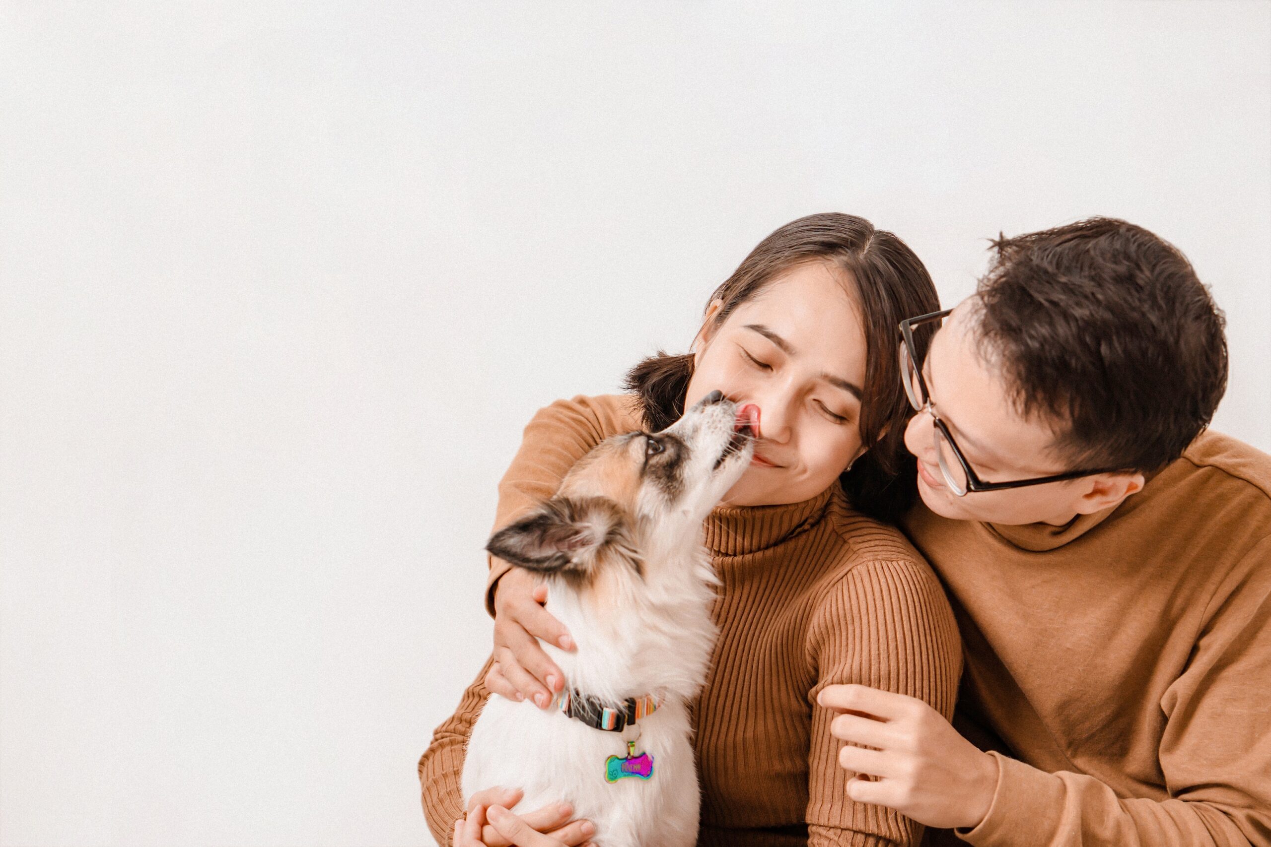 adoption Service Adoption